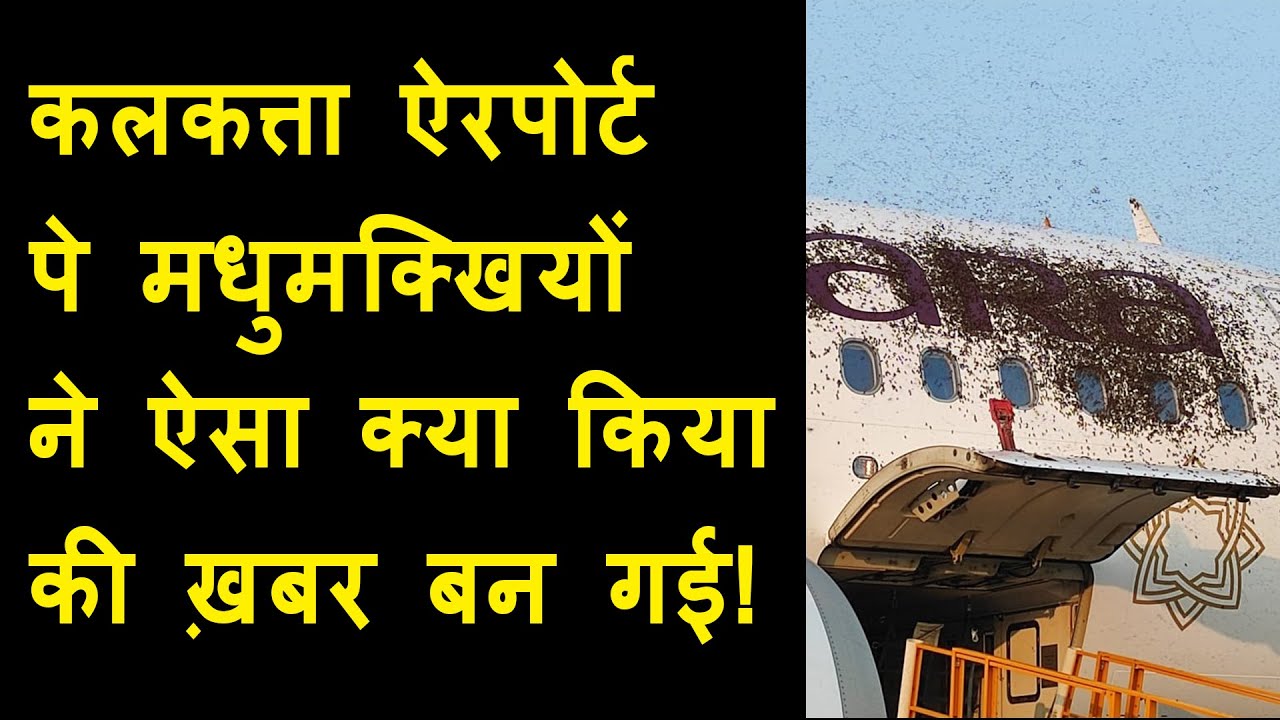 Honey Bee attack on Vistara Aircraft at Kolkata Airport | Two Flights delay | Video Goes Viral