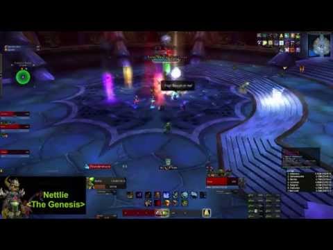 The Genesis vs Ascendant Council 10HC