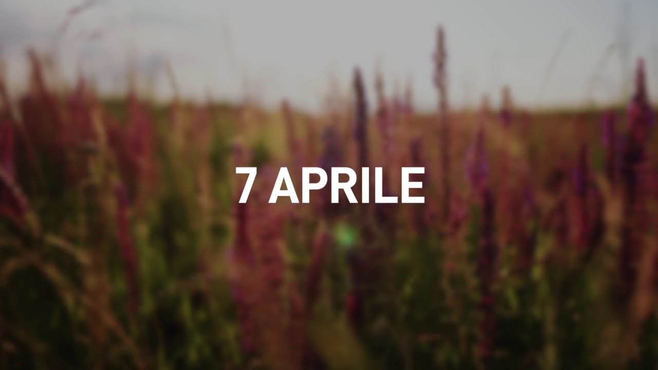 7 Aprile 2025 | Meditazione Parole di Vita