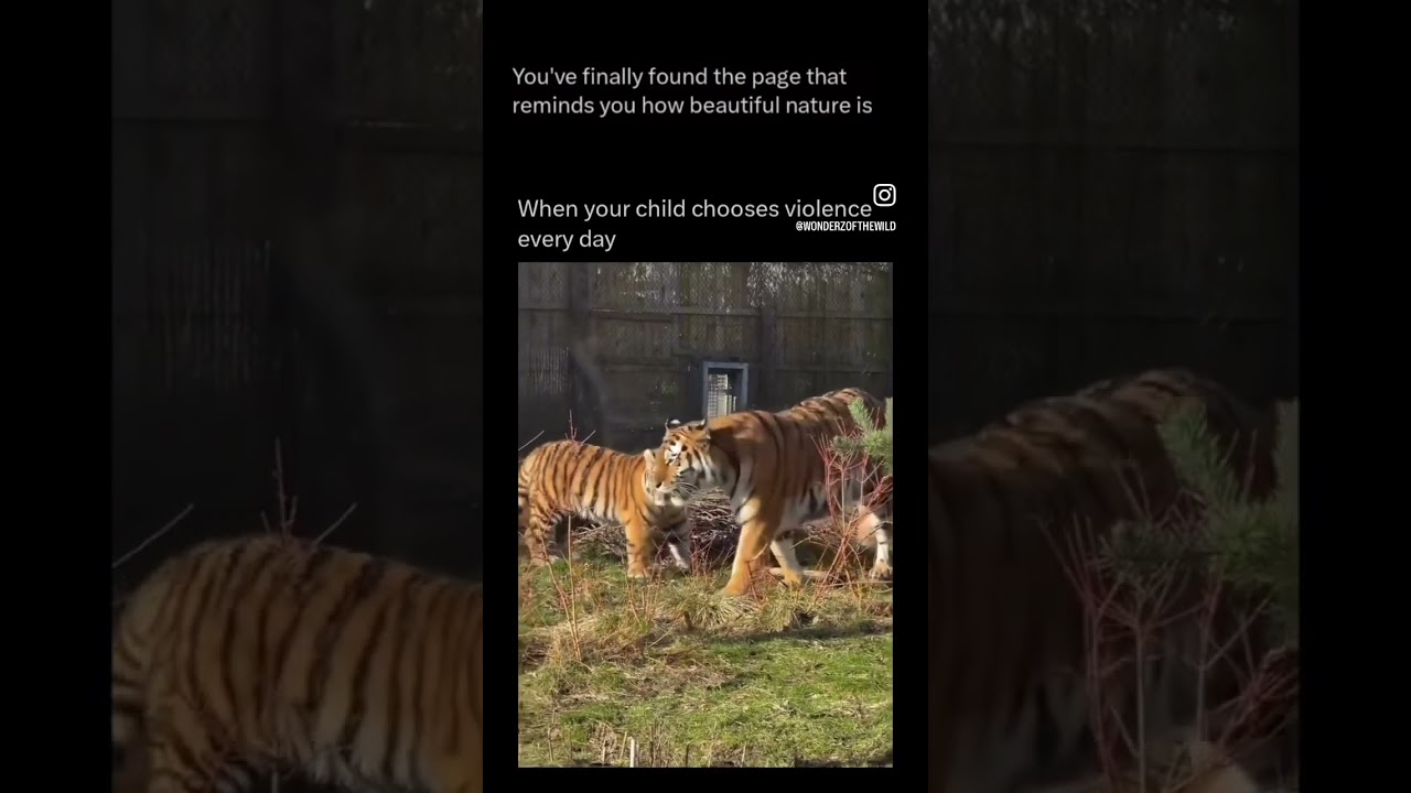 You got my back & I got yours! ❤️