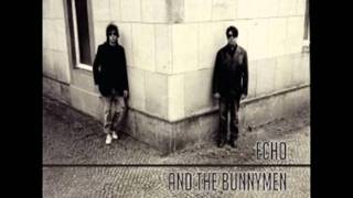 echo &amp; the bunnymen   -   higher hell.