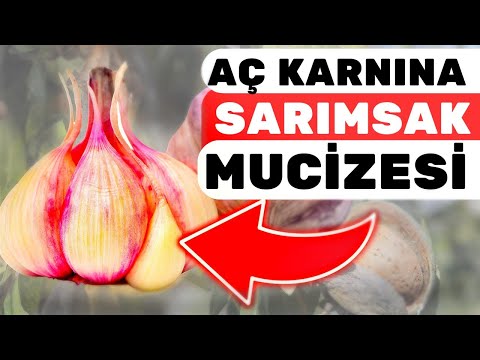 Aç Karnına 1 Sarımsak Vücudunuza Bunları Yapıyor | Sarımsağın Faydaları Ve Zararları Nelerdir?