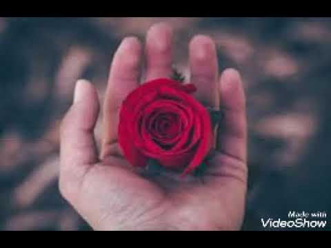 Darkray by  Dawut bolmaz elinde