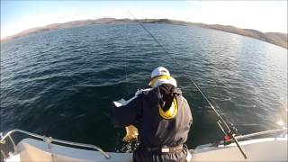 preview picture of video 'Sea fishing: A small halibut from Saltstraumen, Norway (Havsfiske hälleflundra i Norge)'