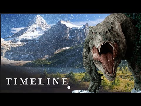 The Hunt For Canada's Great Dinosaur Graveyards