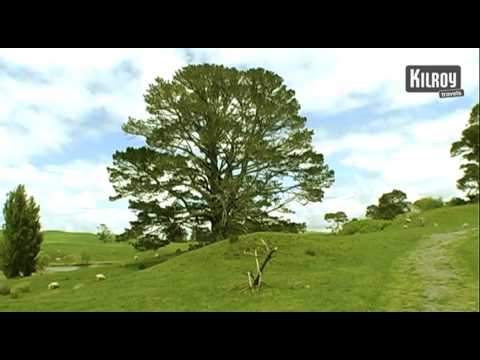 Matamata, Uusi-Seelanti - kylään Hobittilaan