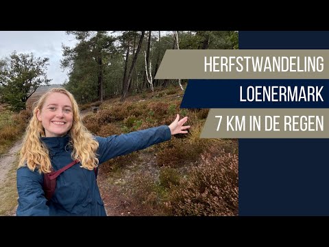 Wandelen in de regen en wild spotten op Loenermark (7 km)