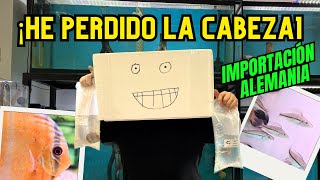 ¡HE PERDIDO la CABEZA con la Nueva llegada de PECES de ALEMANIA! #firemouthaquaristic