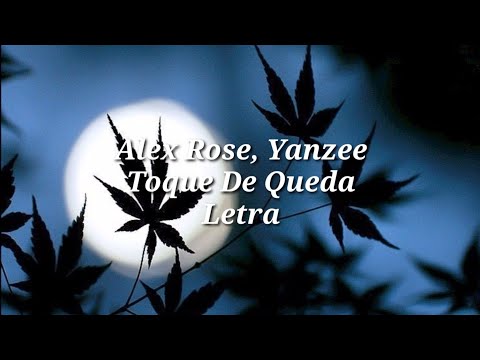 Alex Rose Ft Yanzee - Toque De Queda (Letra)
