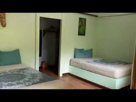 img-video