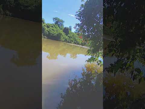 Rio das cinzas Tomazina P.R