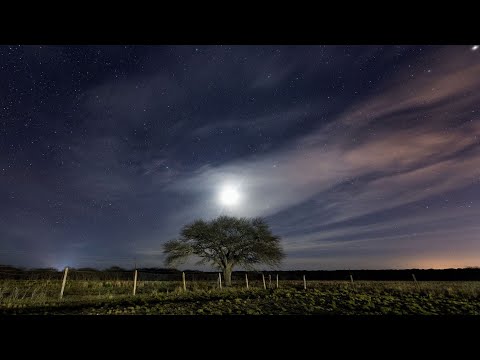 “Noche en La Humada (cuando la luna se raja del cielo)”, poema de Patricia Lobos