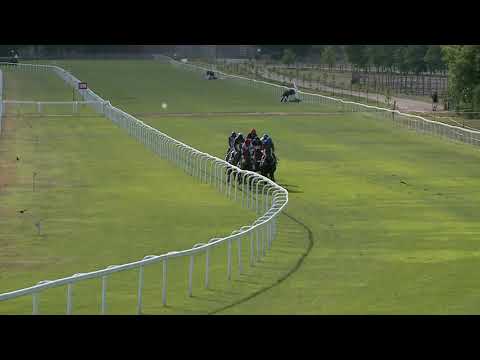 2021.07.04. 09. futam - MNV DÍJA (Elit kat.)