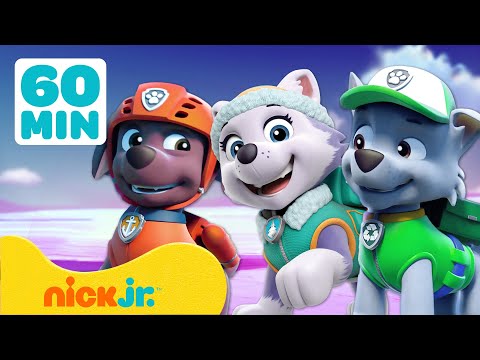 Capa de Patrulha Canina | Resgates de Animais Selvagens com Zuma, Everest e Rocky! | 60 Minutos | Nick Jr.