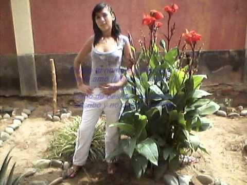 DJ Erickzito cupido me mintio (remix)