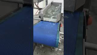 Eillert GWB 1000 vegetable washing machine for sale - Image 4 | Machineryline AU Eillert GWB 1000 vegetable washing machine | Image 4 - Machineryline