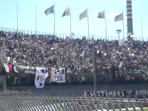 ASCOLI - TRIESTINA 3-0 FORZA PICCHIO