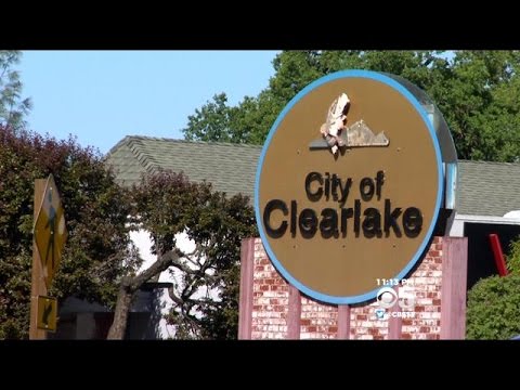 Town Of Clearlake Takes Center Stage In Emotional Battle Over Medical Marijuana Cultivation Ban