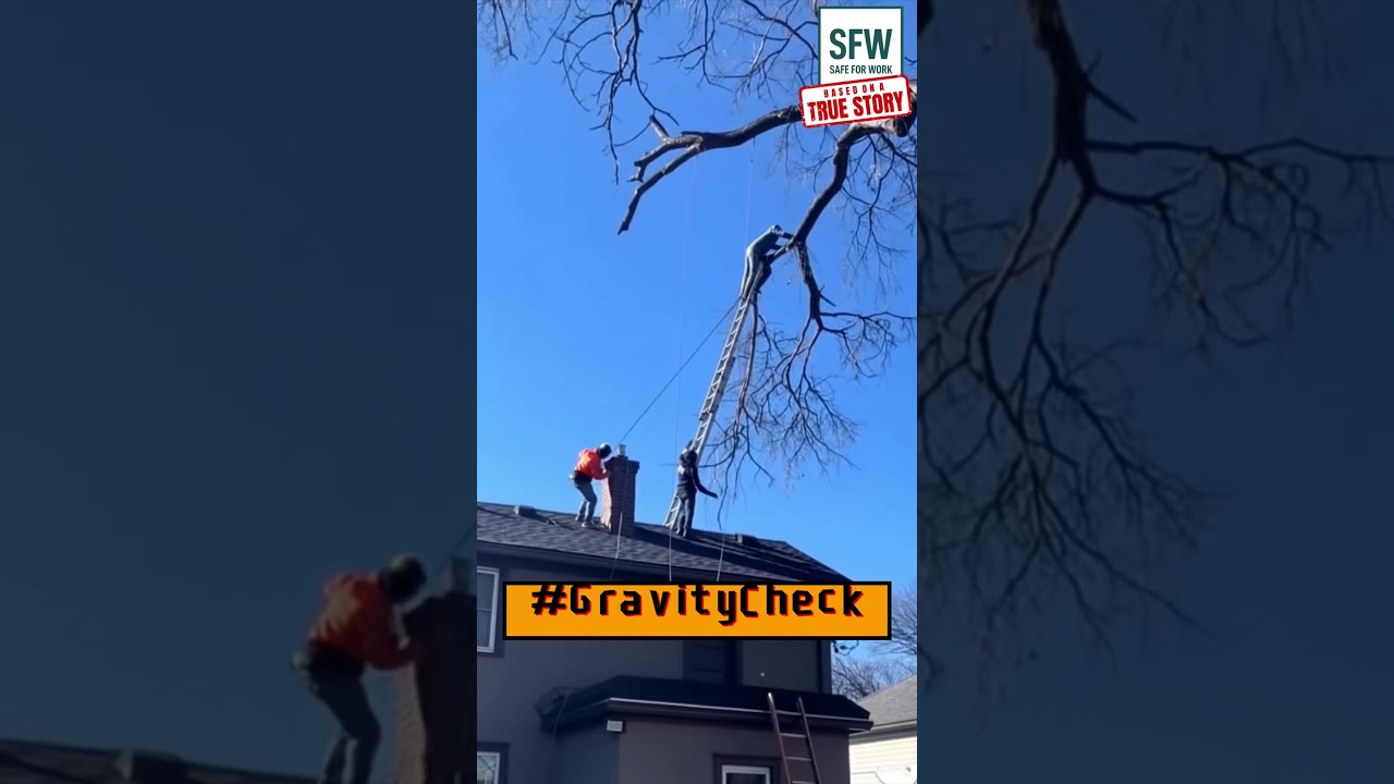 How NOT to Use a Ladder: Expert Level 🤯