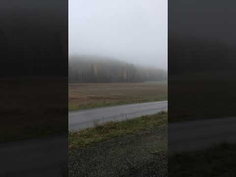 Drev-SM 2018 Yxnanäs Vilja