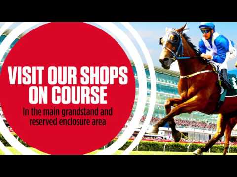 Punchestown Horse Racing Promo