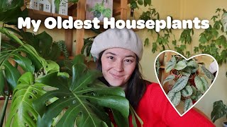 MY OLDEST HOUSEPLANTS 🪴