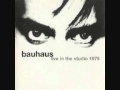 Bauhaus - In the Night (Live In The Studio)