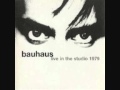 Bauhaus - In the Night (Live In The Studio) 