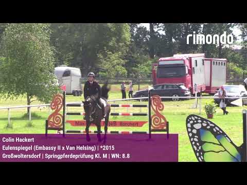 Qualifikation zum Bundeschampionat der 6-jährigen Springpferde in Großwoltersdorf 2021