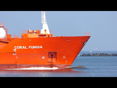 Shipspotting Rotterdam - Sailing without Anchor #252