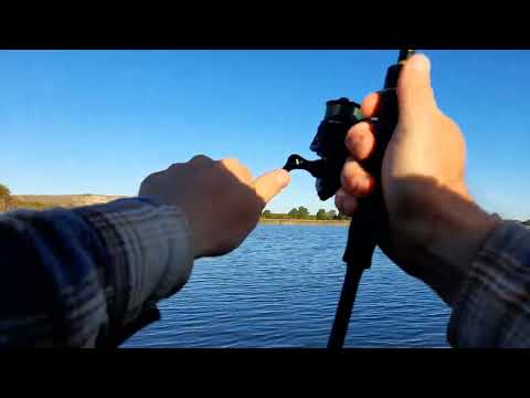 Efterårets smørhul Odense Fjord