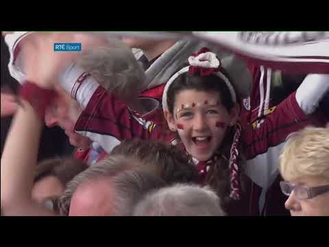 Kilkenny v Galway 2015 All Ireland Senior Hurling Final