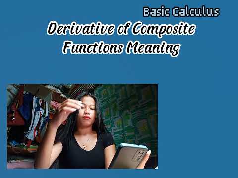 (BERMUDEZ) FINAL TERM PERFORMANCE TASK IN BASIC CALCULUS