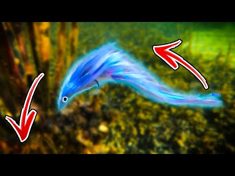 TIE TV - Unholy Diver Fly (By Andreas Andersson)