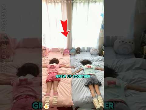These Sisters Stayed Close Even After Growing Apart#funnyshorts #pets #cute #love