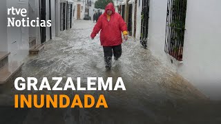 Thumbnail del capítulo