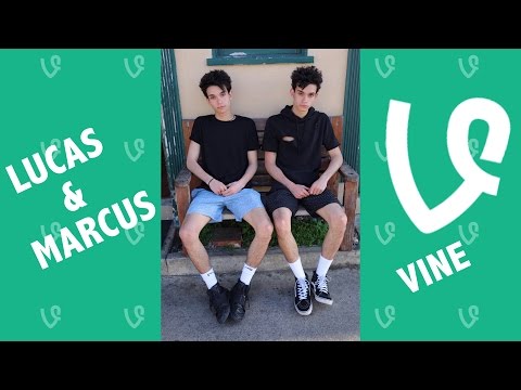 Lucas and Marcus NEW Vines 2016 - Vine Compilation