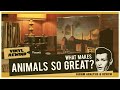 What makes Animals by Pink Floyd so great? Album analysis & review