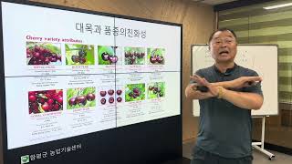 외국에서 체리재배시 방제는 ???