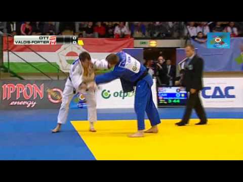 Judo European Open Budapest 2013: Marcel OTT (AUT) - Antoine VALOIS-FORTIER (CAN) Bronze [-81kg]