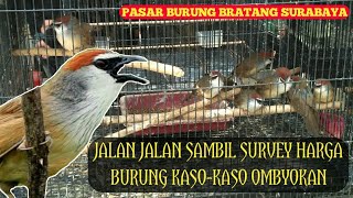 Download lagu Latest Price Survey for Kaso Kaso Ombyokan Birds || Glagah Tepus Birds mp3 Download lagu Latest Price Survey for Kaso Kaso Ombyokan Birds || Glagah Tepus Birds mp3