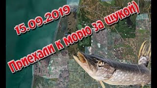Краснодарский край кто был в ейском лимане на рыбалке