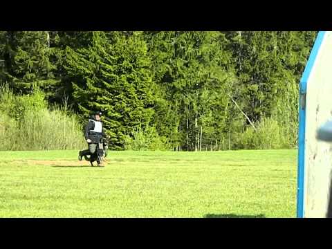 Schäferslaget 2012 B.mp4