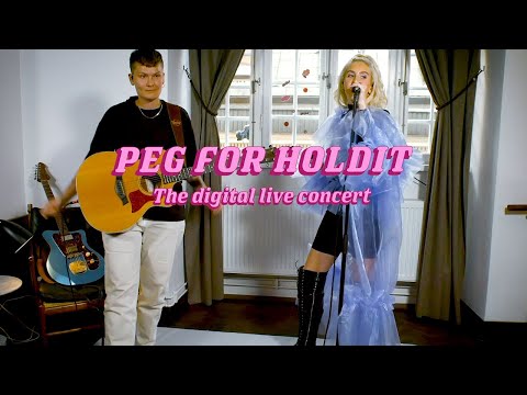 Peg for Holdit - The concert
