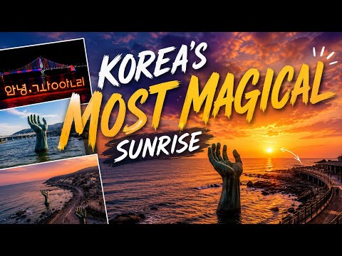 Korea's "HANDS of HARMONY" | HOMIGOT, Pohang