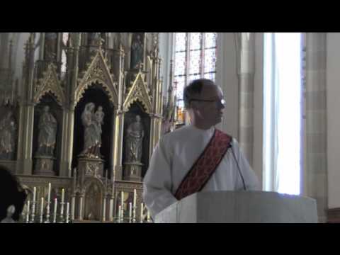 2011-10-28 Homilie bisdombedevaart - diaken Bornhijm.m4v