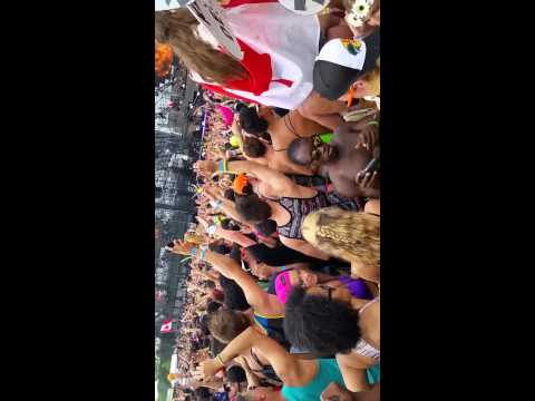 Dvbbs Live @VELD 2014 (2)
