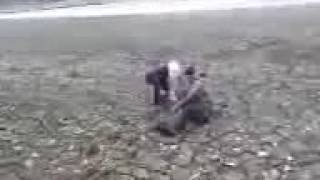 Shit ankle deep in love