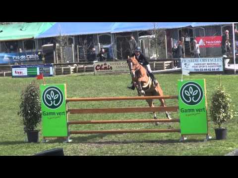 Sultane des Ibis GP CSI* d'Hardelot
