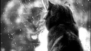 Balmorhea - If You Only Knew The Rain